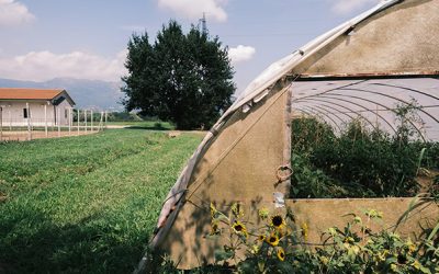 Nuovi semi: coltiviamo autonomia – dettagli