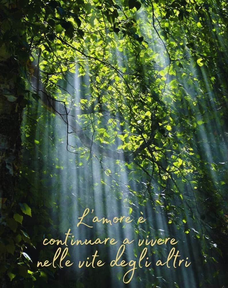 Lasciti testamentari - Associazione Aliseo Lasciti testamentari - Associazione Aliseo