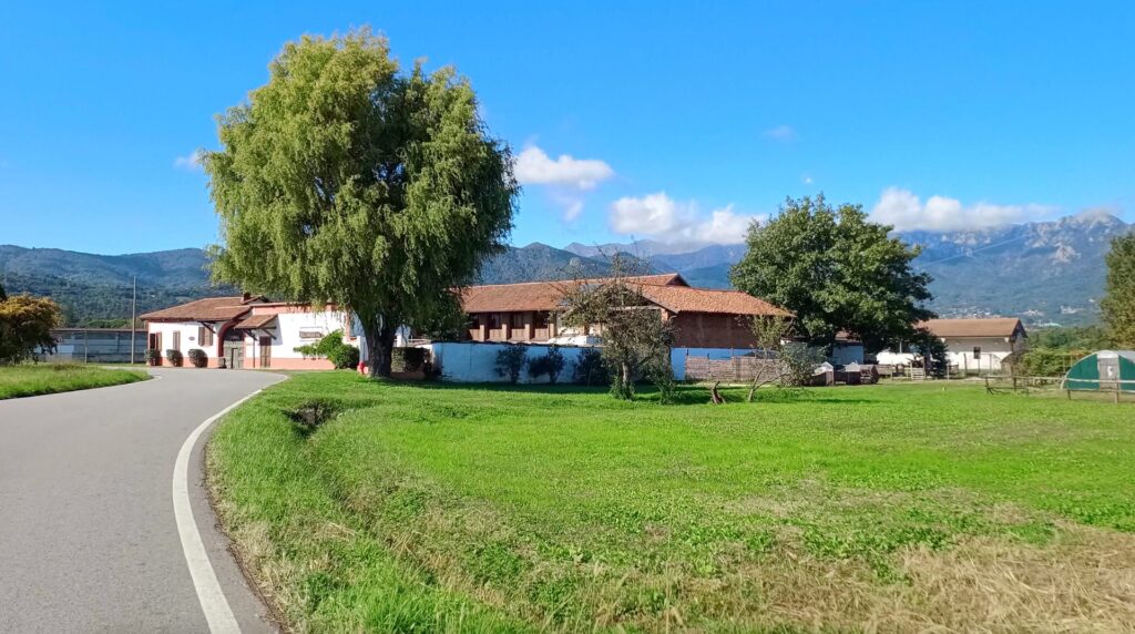 Comunità e territorio, insieme per la prevenzione: l'importanza dell'alcool prevention day