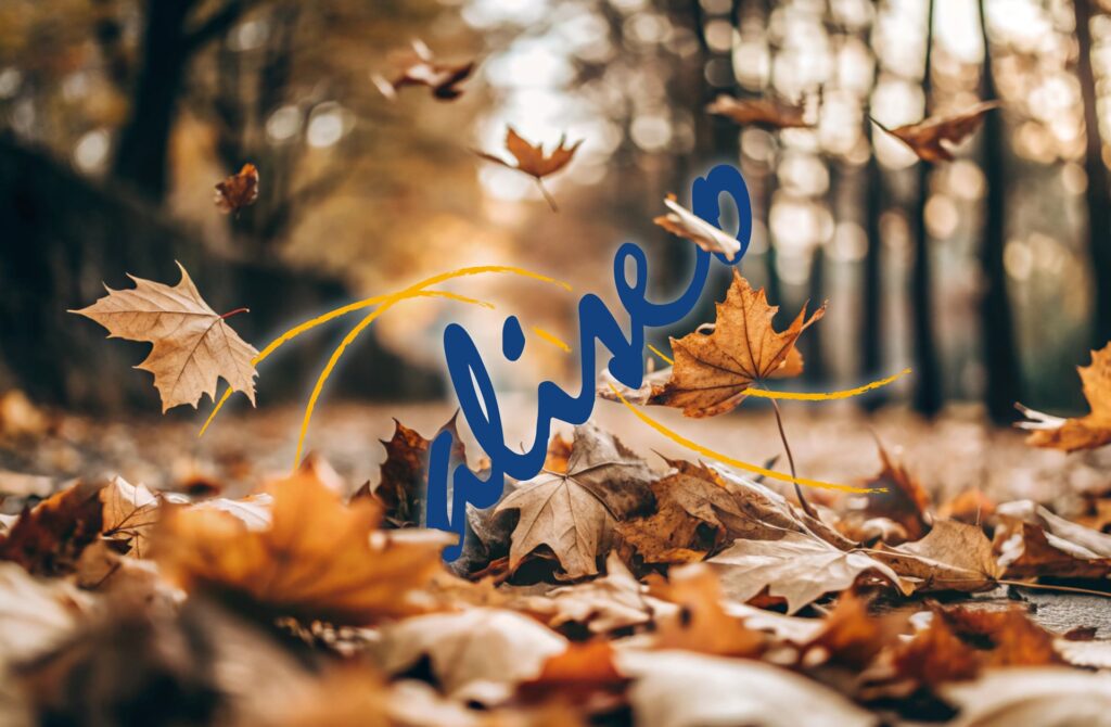 Associazione-Aliseo-Autunno-2025