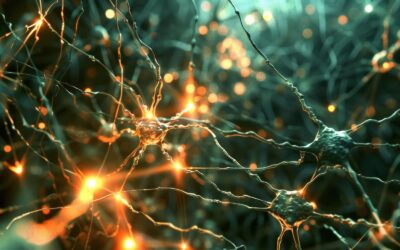 L’alcol e la cocaina