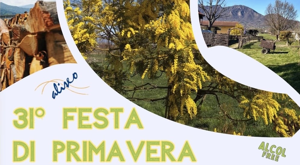 Festa di primavera 2026